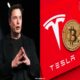 Elon Musk Pindahkan Aset Bitcoin Milik Tesla  Senilai US$760 Juta Oktober 2024