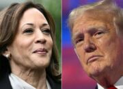 Kamala Harris Menang Jajak Pendapat Reuters dan Donald Trump Unggul Sementara Pemilu AS