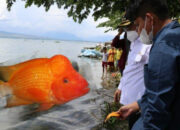 Populasi Ikan Red Devil Meledak di Danau Toba, Ini Solusinya