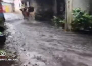 Video Viral Banjir di Kota Malang_ Dampak Hujan Deras pada 6 Desember 2024 ( ngopibareng.id )