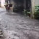 Video Viral Banjir di Kota Malang_ Dampak Hujan Deras pada 6 Desember 2024 ( ngopibareng.id )