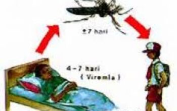 3 Penyakit Sering Muncul  Saat Musim Hujan Datang, Dari Diare Sampai  Penyakit Kulit