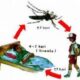 3 Penyakit Sering Muncul  Saat Musim Hujan Datang, Dari Diare Sampai  Penyakit Kulit